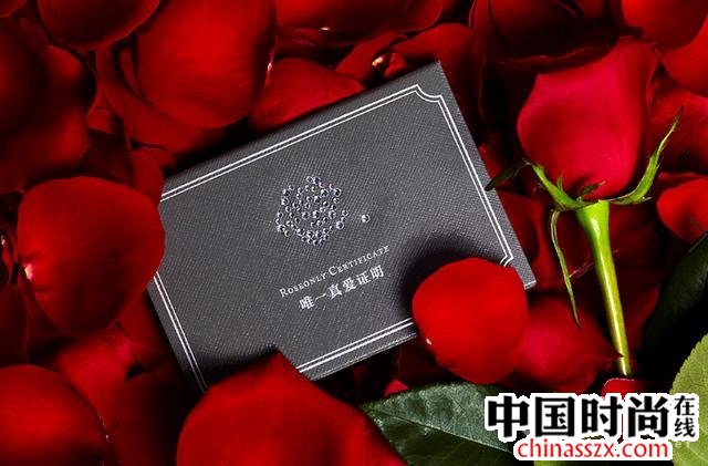 roseonlyŮ(ji)Ʒ Ҋ(jin)CV(i)