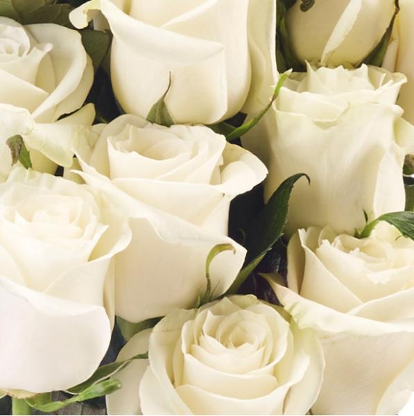 roseonlyɫ˹(ji)؄e Ĳ׃ ҊCΨһ