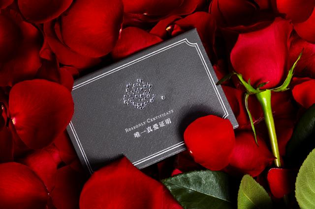 roseonlyɫ˹(ji)؄e Ĳ׃ ҊCΨһ